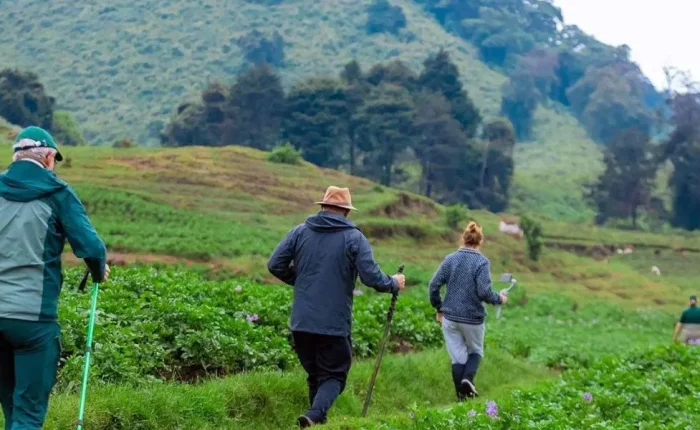 Tourist hiking on the Congo Nile Trail in Karongi, Rwanda, surrounded by lush landscapes and scenic views.