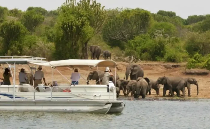 Tourists on a game drive in Akagera National Park, Rwanda, observing the Big Five and other wildlife amidst stunning natural landscapes.