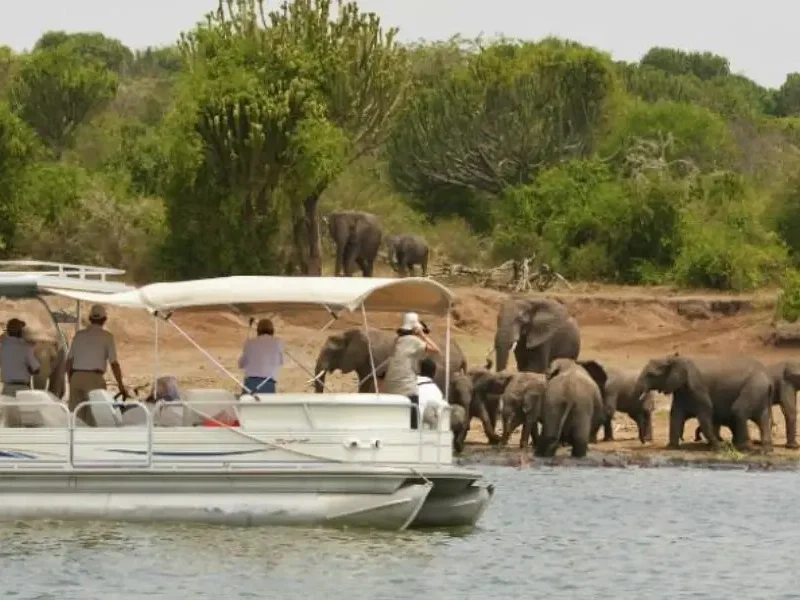 Tourists on a game drive in Akagera National Park, Rwanda, observing the Big Five and other wildlife amidst stunning natural landscapes.