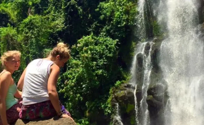 Dense greenery and misty hills of Aberdare Forest, a haven for wildlife and natural beauty in Kenya