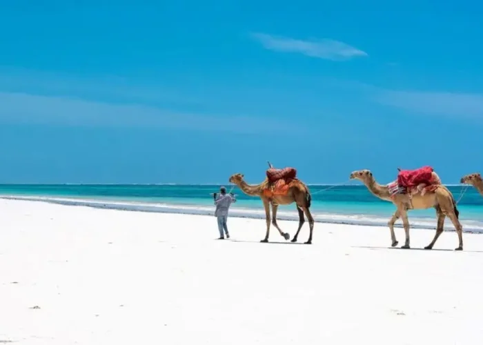 Scenic view of Diani Beach with crystal-clear blue waters, white sandy shore, and palm trees swaying in the gentle breeze, capturing the serene and idyllic atmosphere of the beach escape