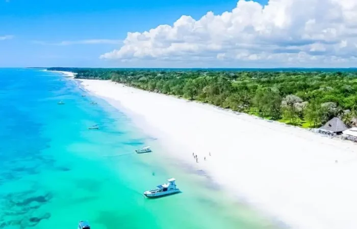 Explore the Big Five Tours Kenya and Tanzania Tours