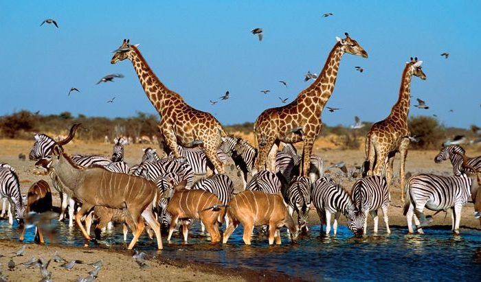 East African Tourist visa allowing travel across Kenya, Uganda, and Rwanda for tourism purposes