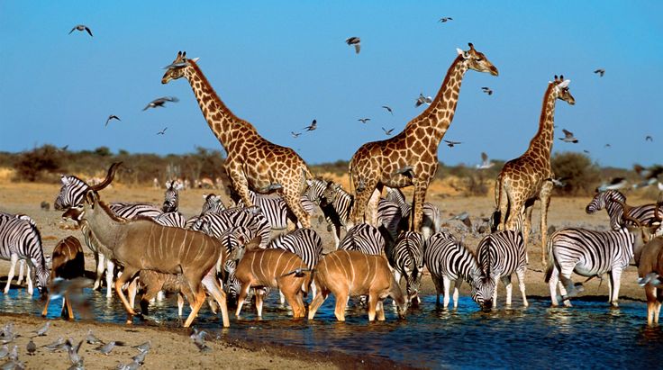 East African Tourist visa allowing travel across Kenya, Uganda, and Rwanda for tourism purposes