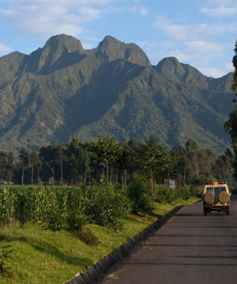 Trekking through Volcanoes National Park