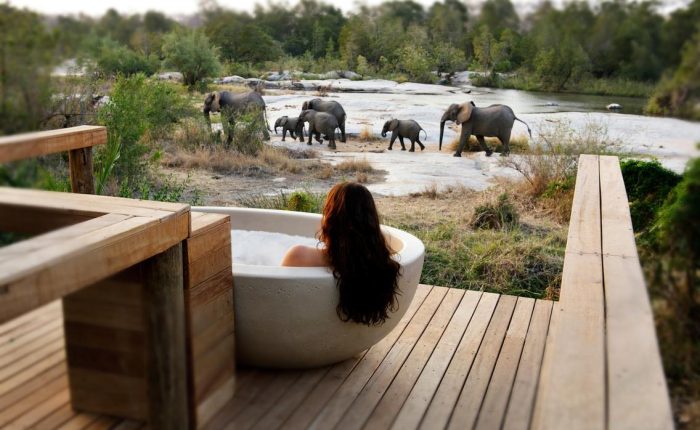 Experience the beauty of Rwanda's safari destinations, from the savannahs of Akagera National Park to the lush forests of Volcanoes National Park, teeming with wildlife.