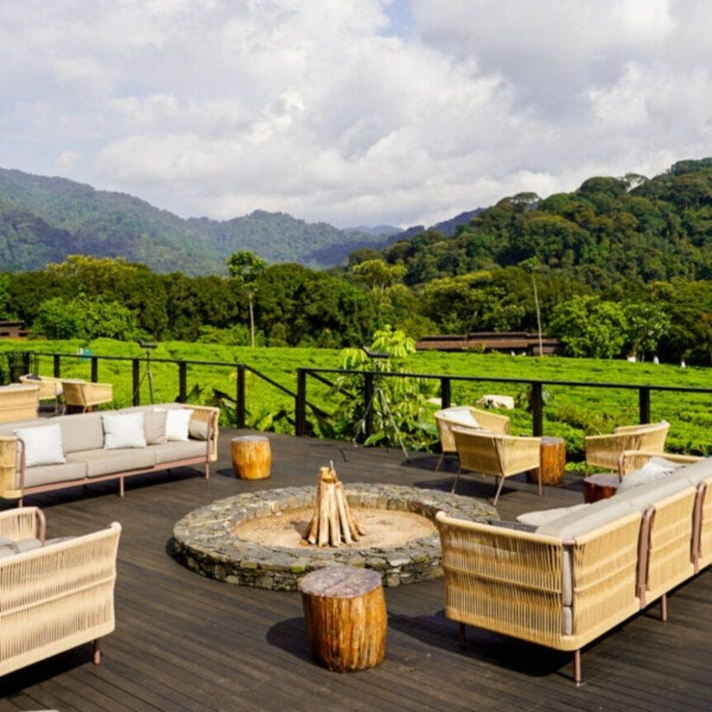 Visit Nyungwe Forest National Park in rwanda