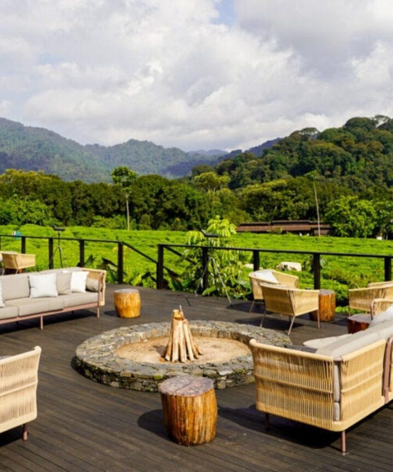 Visit Nyungwe Forest National Park in rwanda