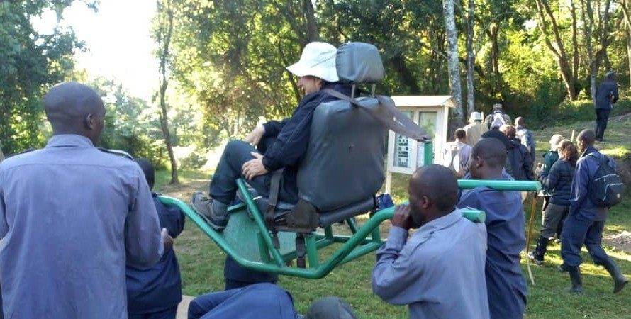 elderly-friendly gorilla Trekking